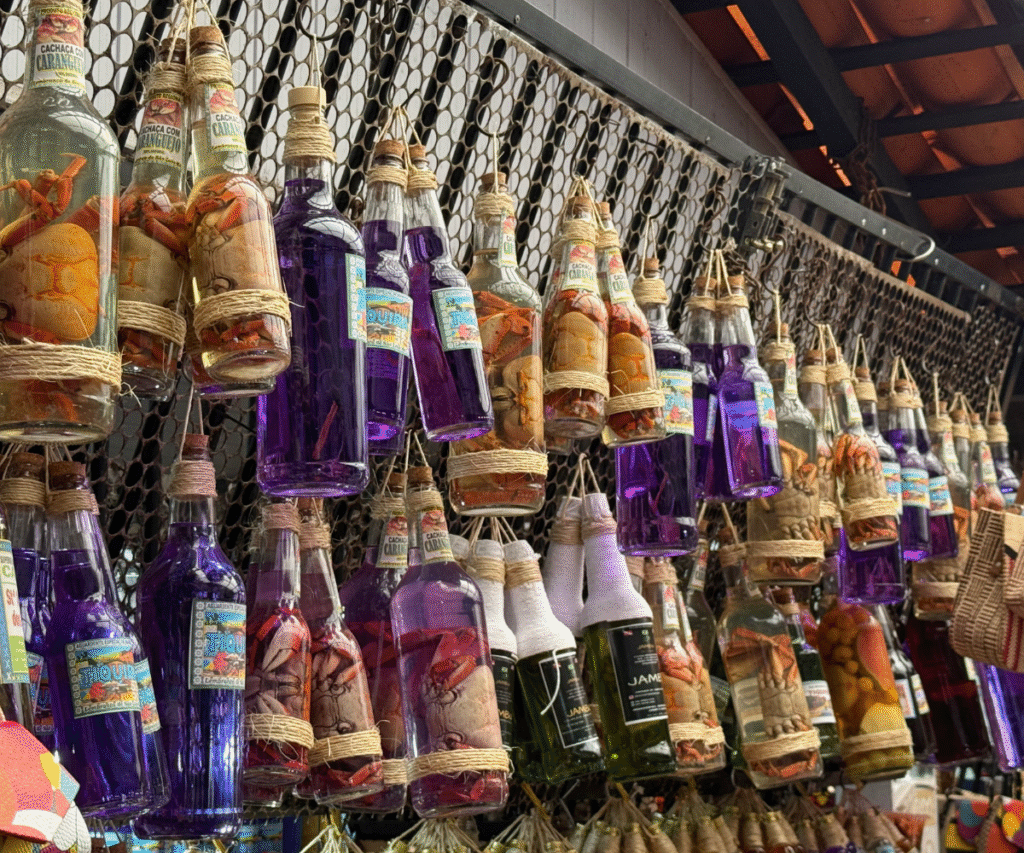 City Tour em São Luís