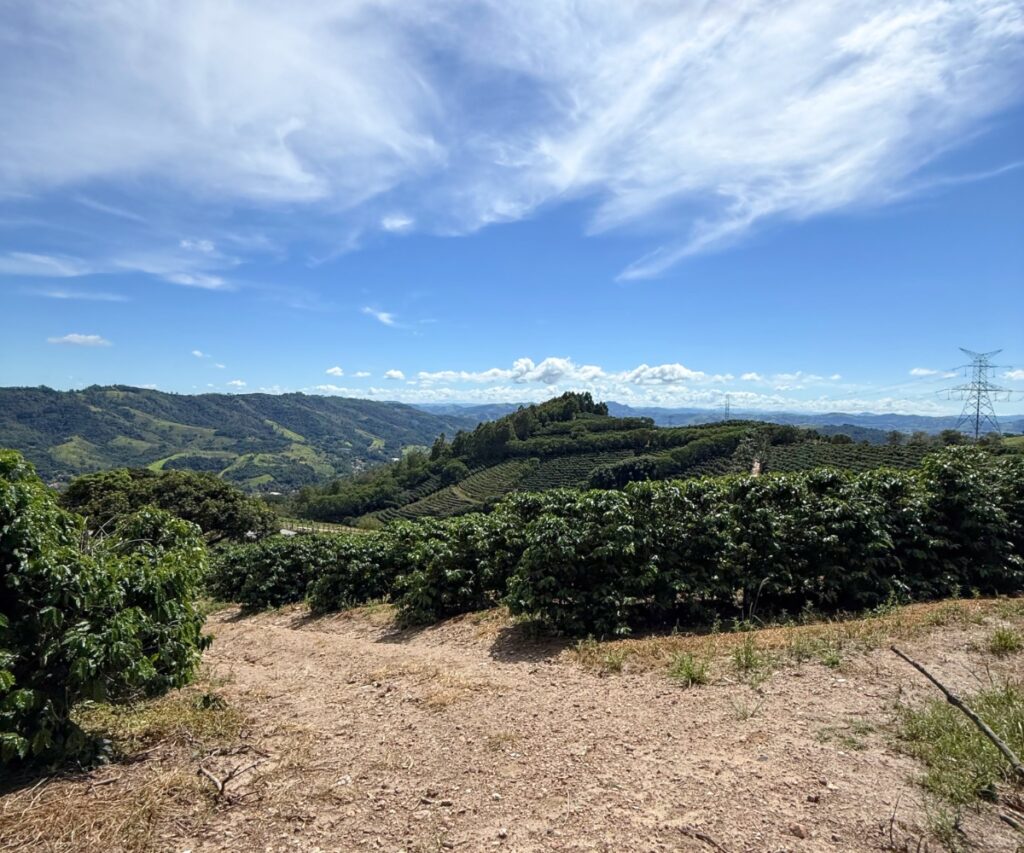 Visitar em cafezal em serra Negra