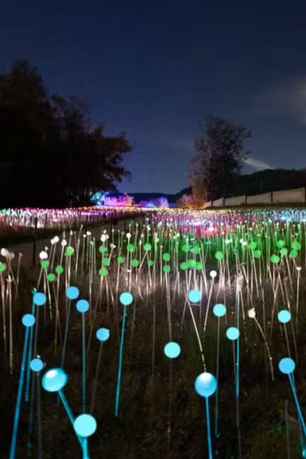 Novas atrações em Gramado