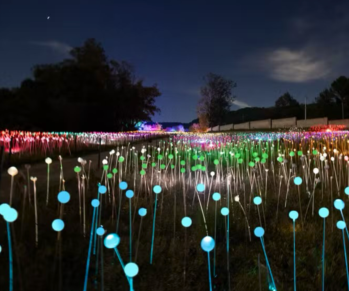 Novas atrações em Gramado
